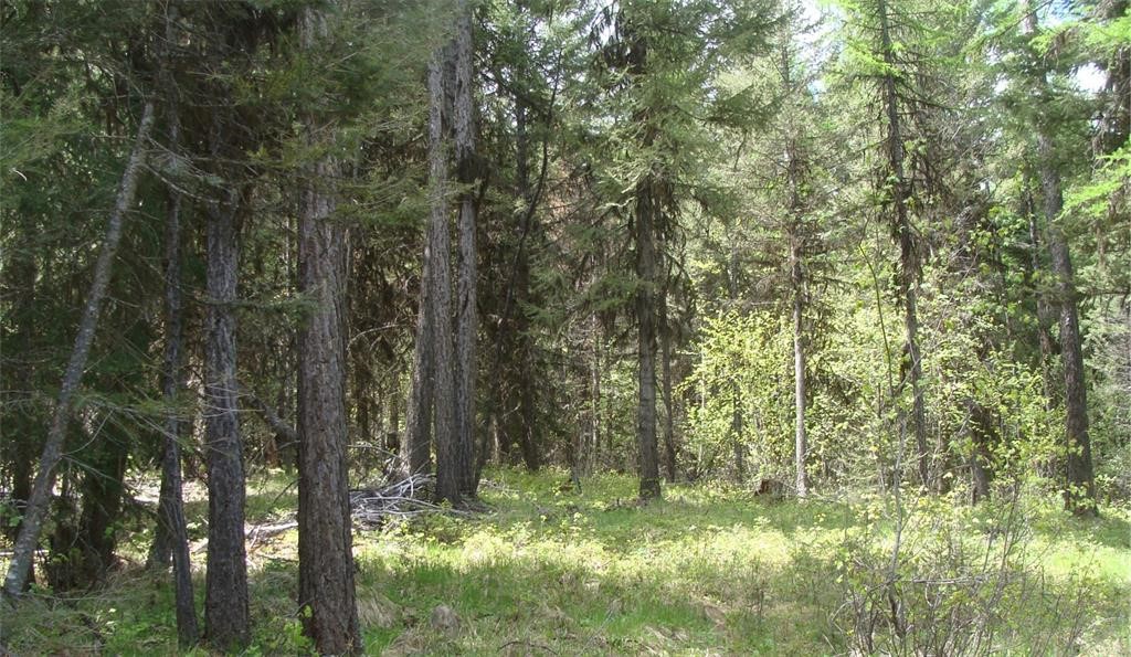 NHN North Beaver Creek