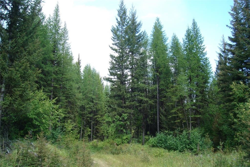 NHN North Beaver Creek