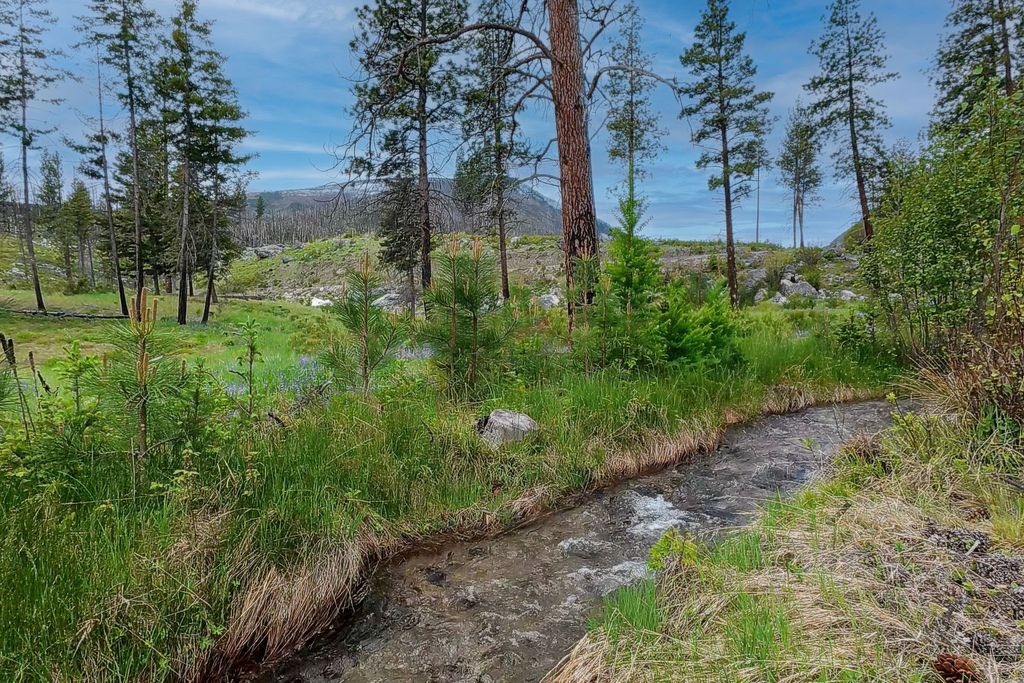 Photo of Lot 8 Roaring Lion Road, Hamilton, MT 59840 (MLS # 30050234)