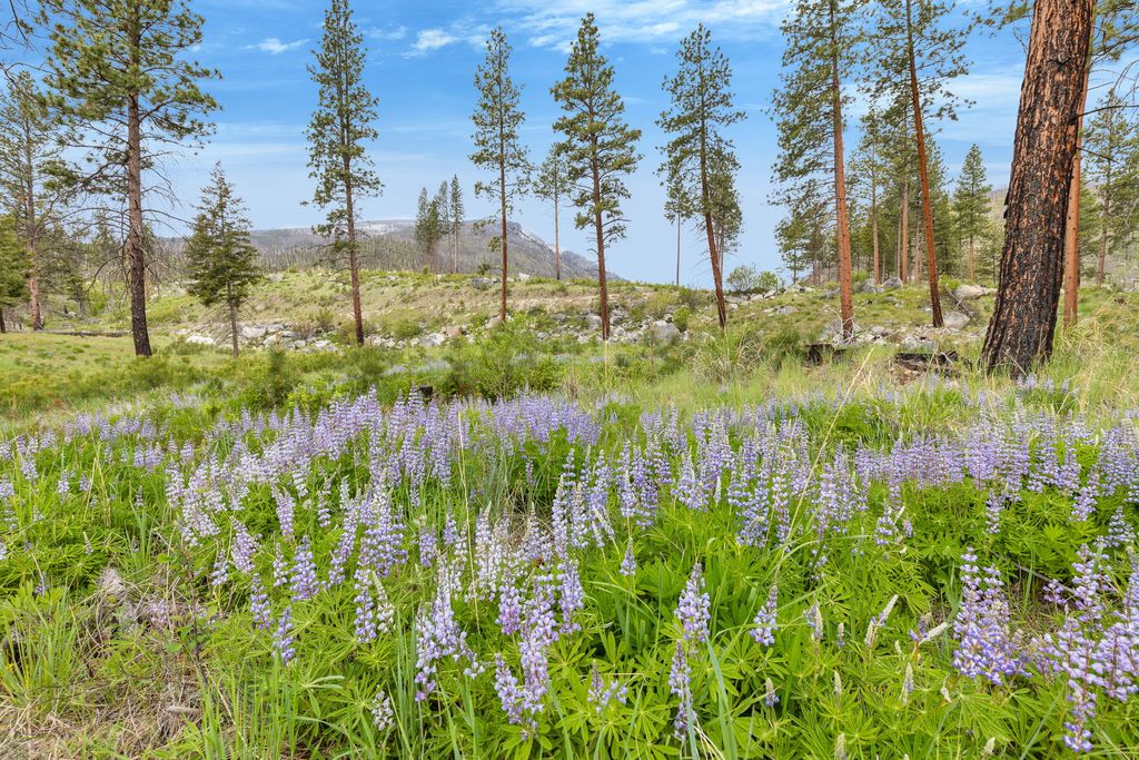 Photo of Lot 8 Roaring Lion Road, Hamilton, MT 59840 (MLS # 30050234)