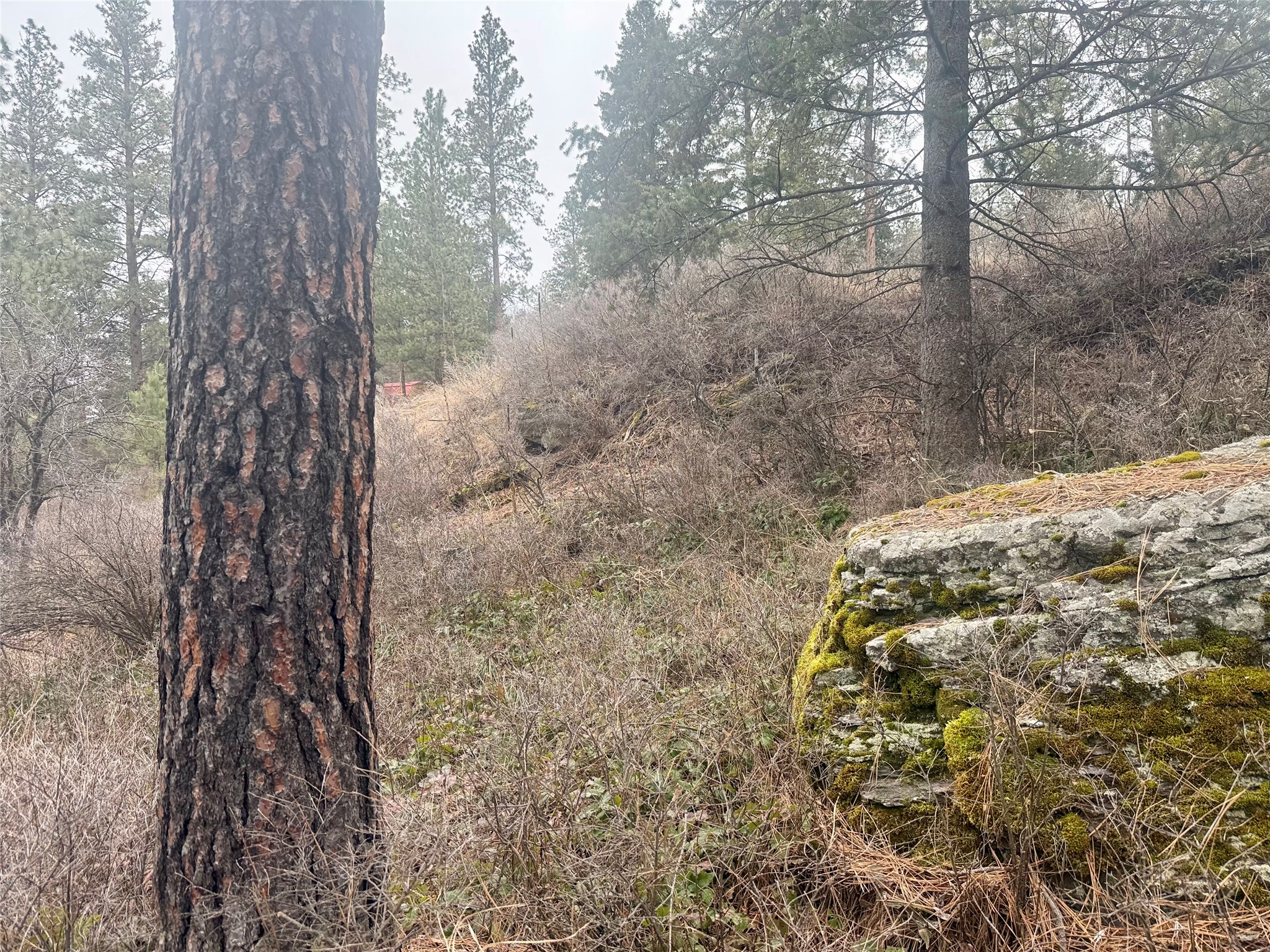 NHN Melita Island Lane