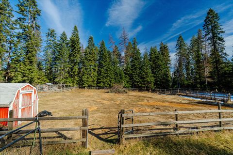 Tiny photo for 253/257/259 Aero Lane, Bigfork, MT 59911 (MLS # 30068404)