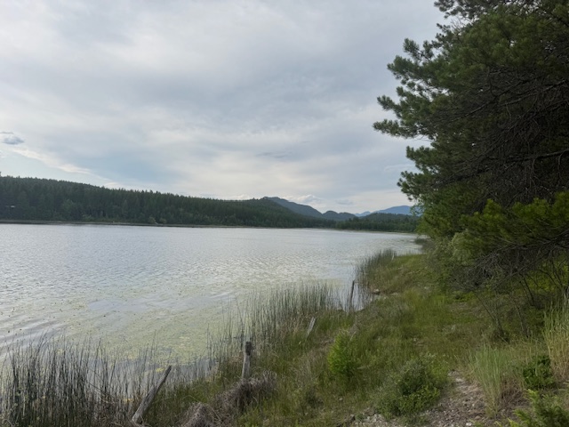 400 Cattail Drive