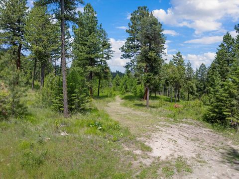 Tiny photo for 460 Buffalo Lane, Somers, MT 59932 (MLS # 30069306)