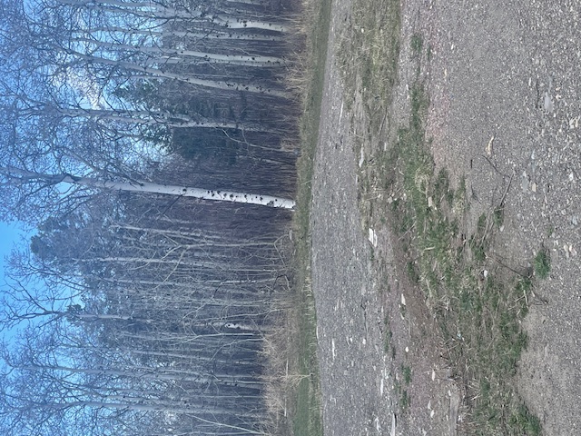 113 Heart Butte Cutoff Road