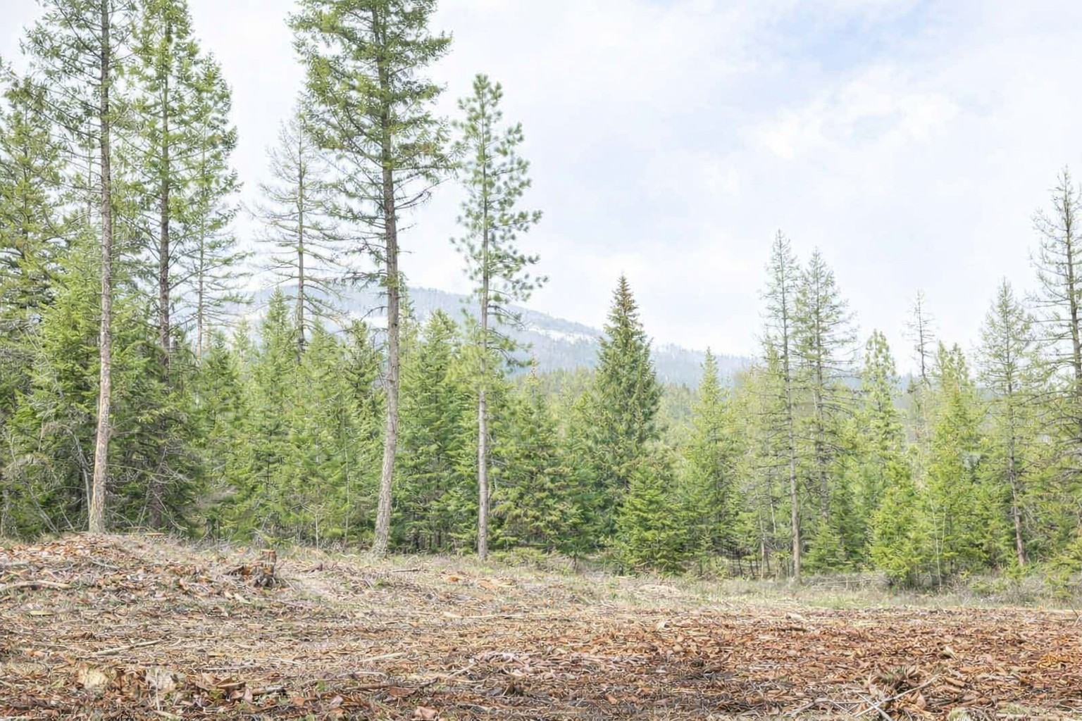 301 Haskill Ranch Road Lot 37