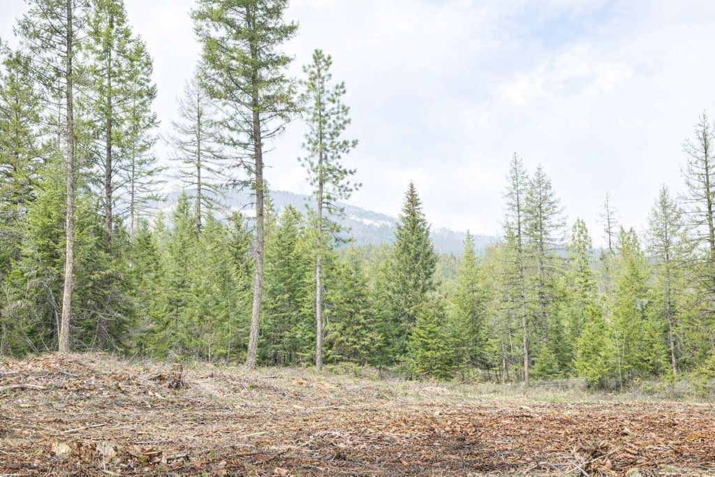 Photo of 301 Haskill Ranch Road #Lot 37, Kila, MT 59920 (MLS # 30069585)