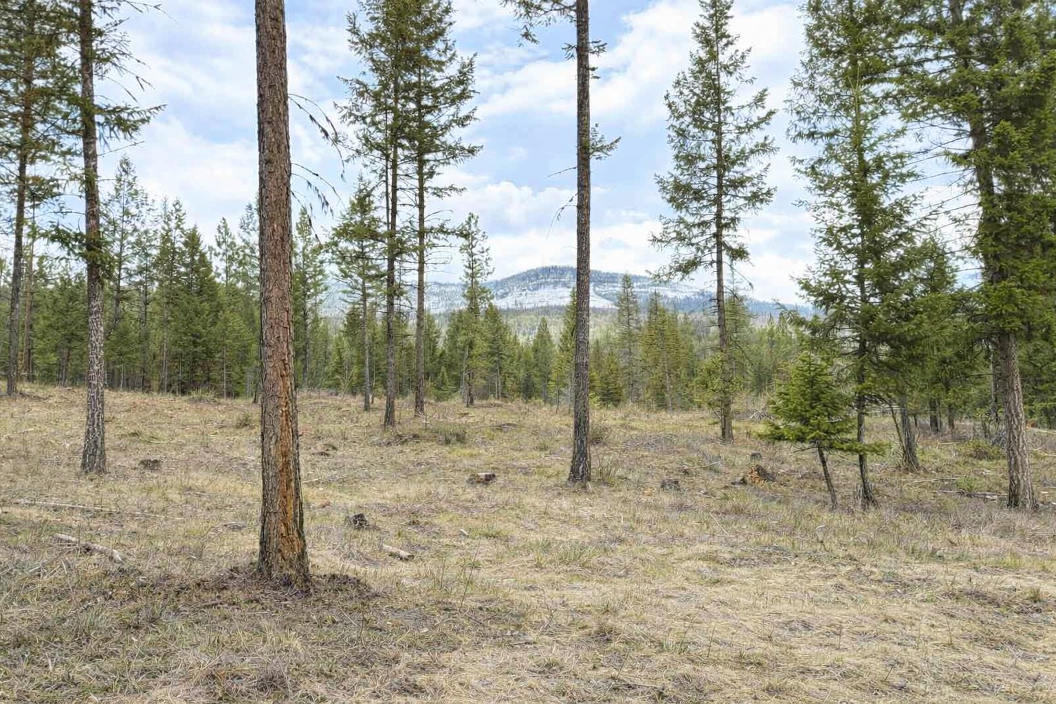 301 Haskill Ranch Road Lot 37