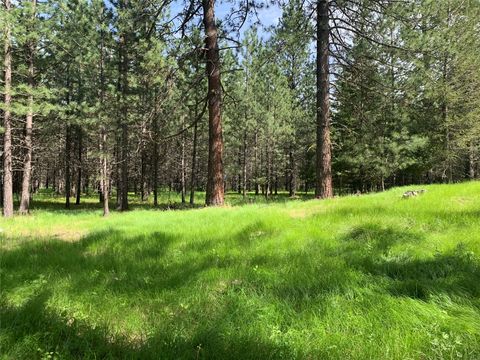 Photo of 131 Break Road, Libby, MT 59923 (MLS # 30061420)