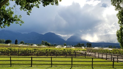 Photo of Nhn - Lot A Mountain View Orchard Road, Corvallis, MT 59828 (MLS # 30073176)