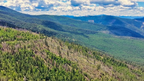 Tiny photo for Nhn Bighorn Ranch, Plains, MT 59859 (MLS # 30072929)