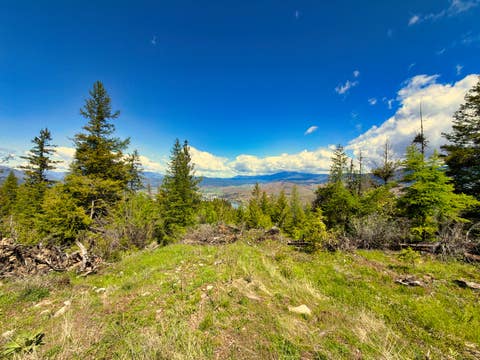 Tiny photo for Nhn Bighorn Ranch, Plains, MT 59859 (MLS # 30072929)