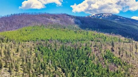 Tiny photo for Nhn Bighorn Ranch, Plains, MT 59859 (MLS # 30072929)
