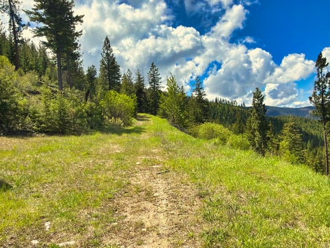Tiny photo for Nhn Bighorn Ranch, Plains, MT 59859 (MLS # 30072929)