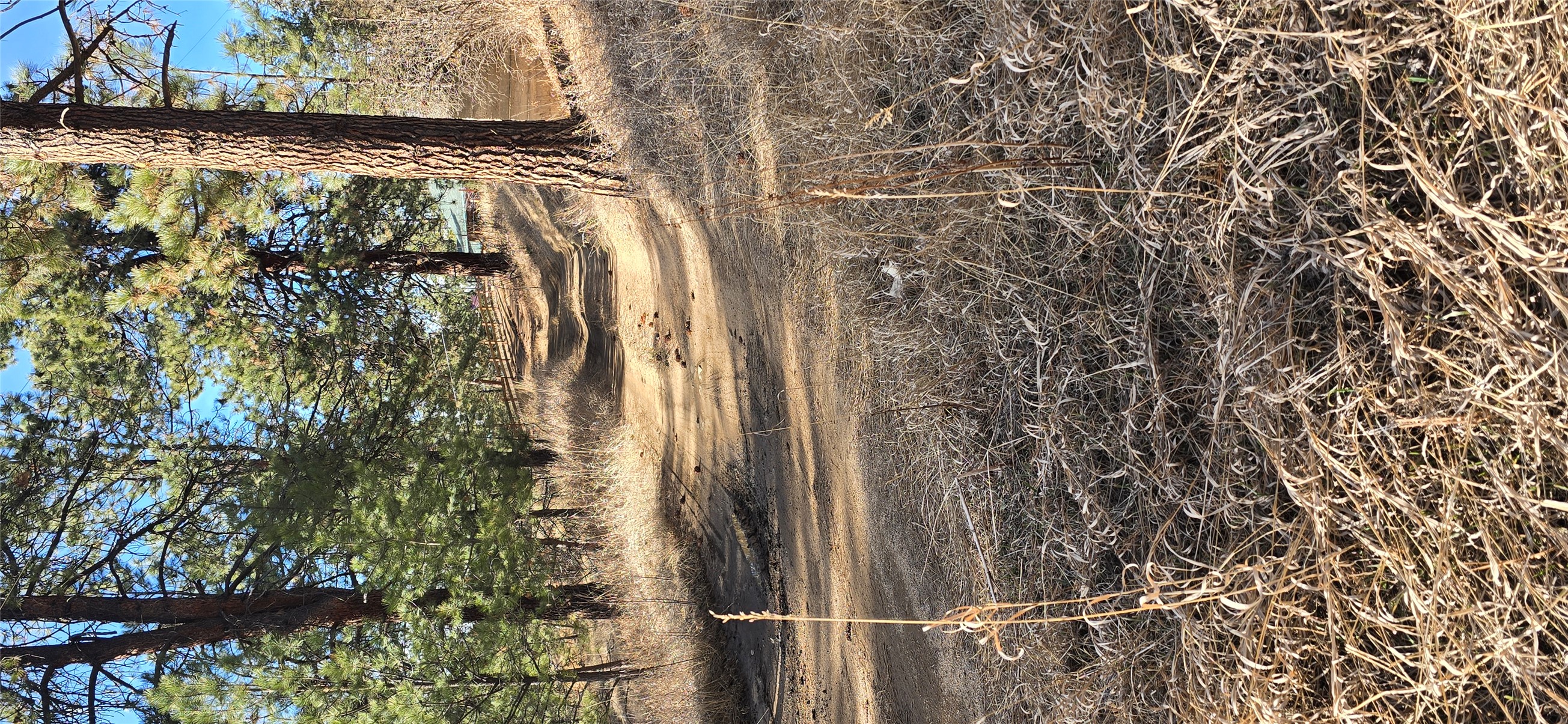 211 Warm Springs Creek Road