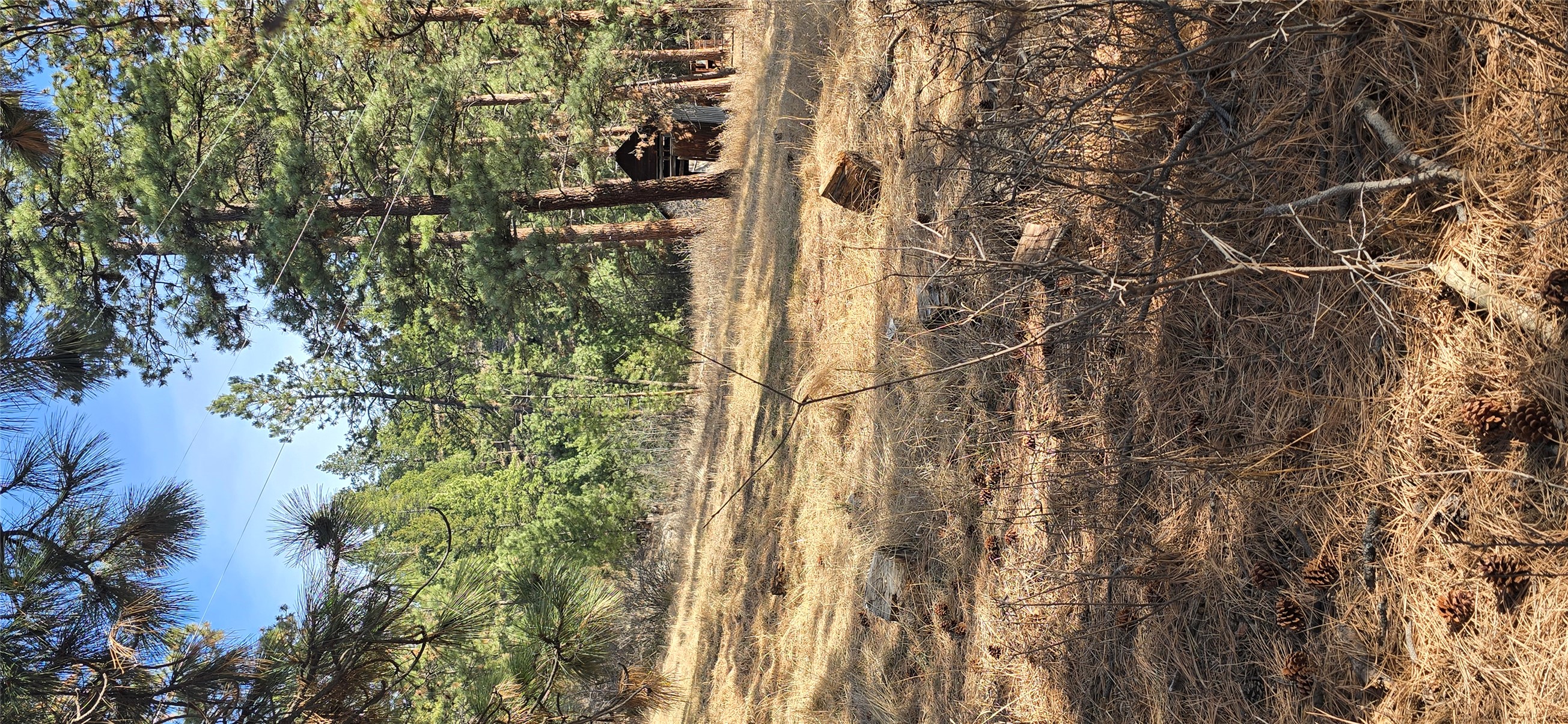 211 Warm Springs Creek Road