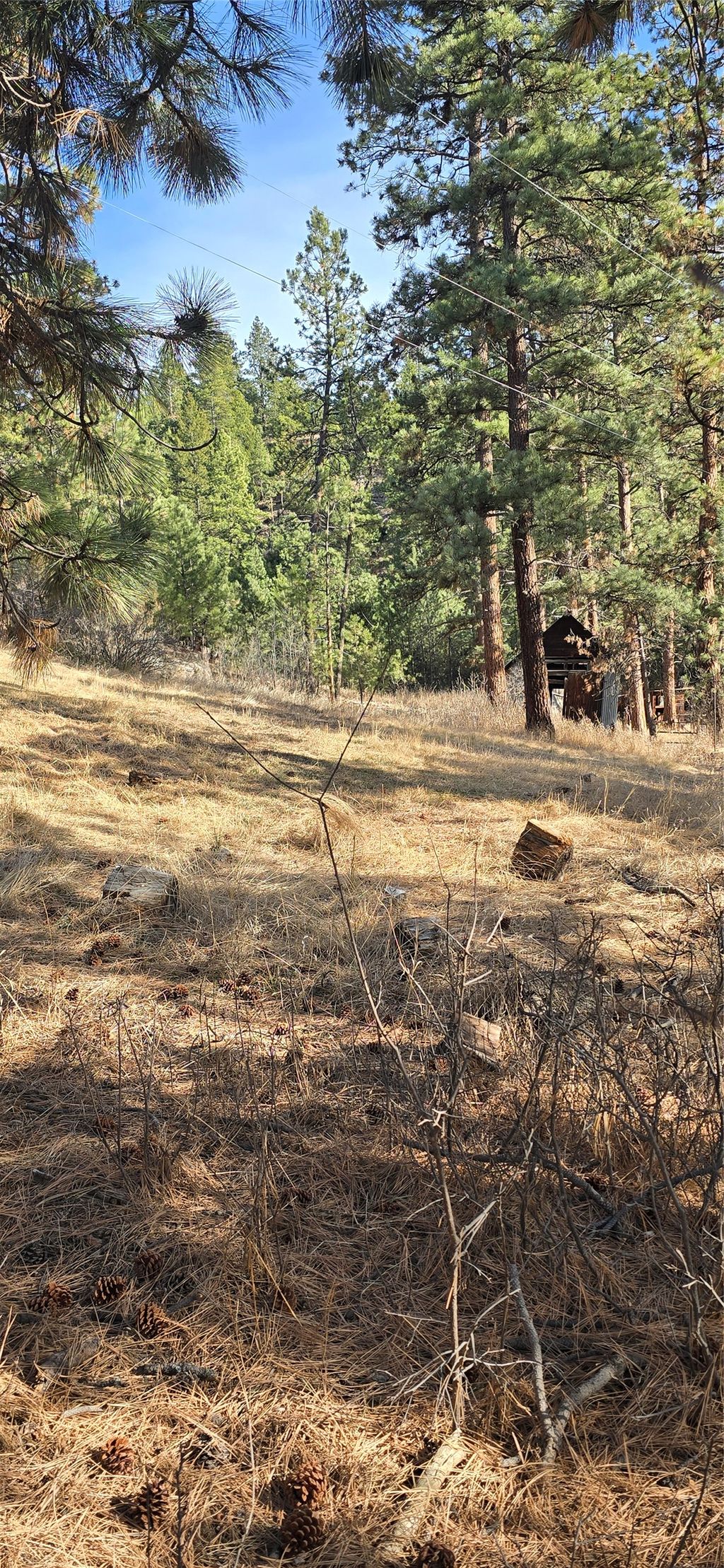 Photo of 211 Warm Springs Creek Road, Clancy, MT 59634 (MLS # 30066403)