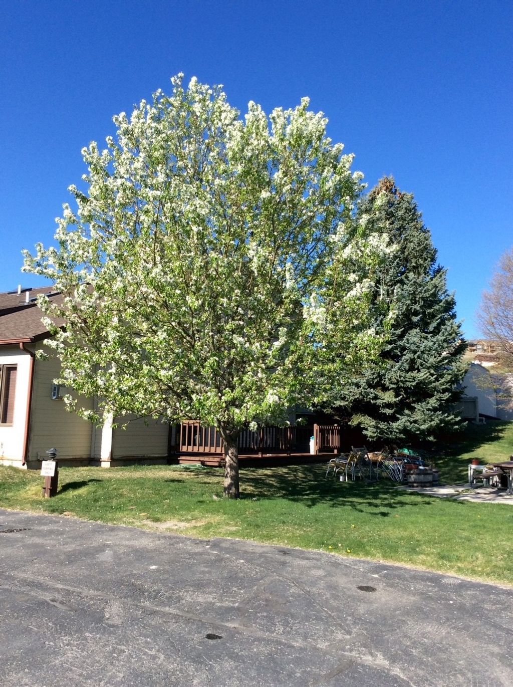 Photo of 530 Coventry Court, Helena, MT 59601 (MLS # 30061671)