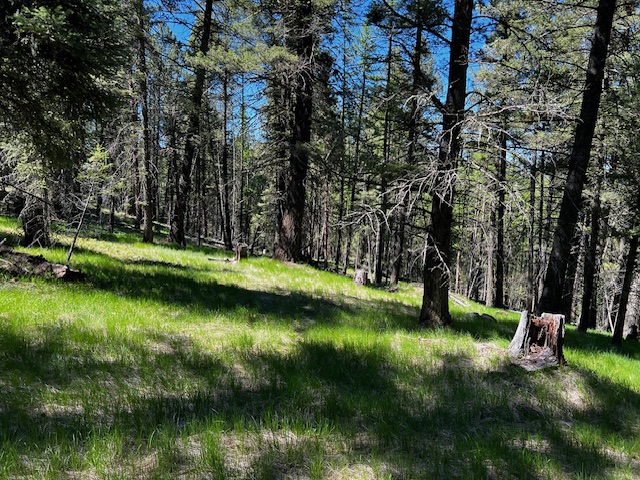 400 & 406 Orchard Ridge Road