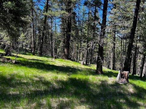 Tiny photo for 400 & 406 Orchard Ridge Road, Kalispell, MT 59901 (MLS # 30054986)