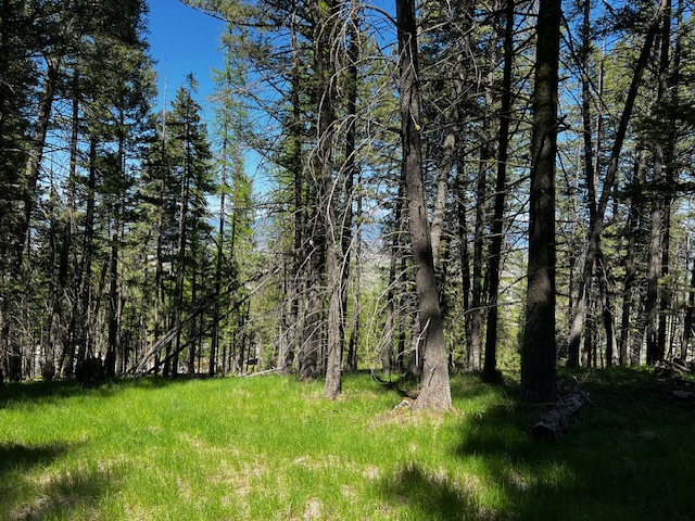 400 & 406 Orchard Ridge Road