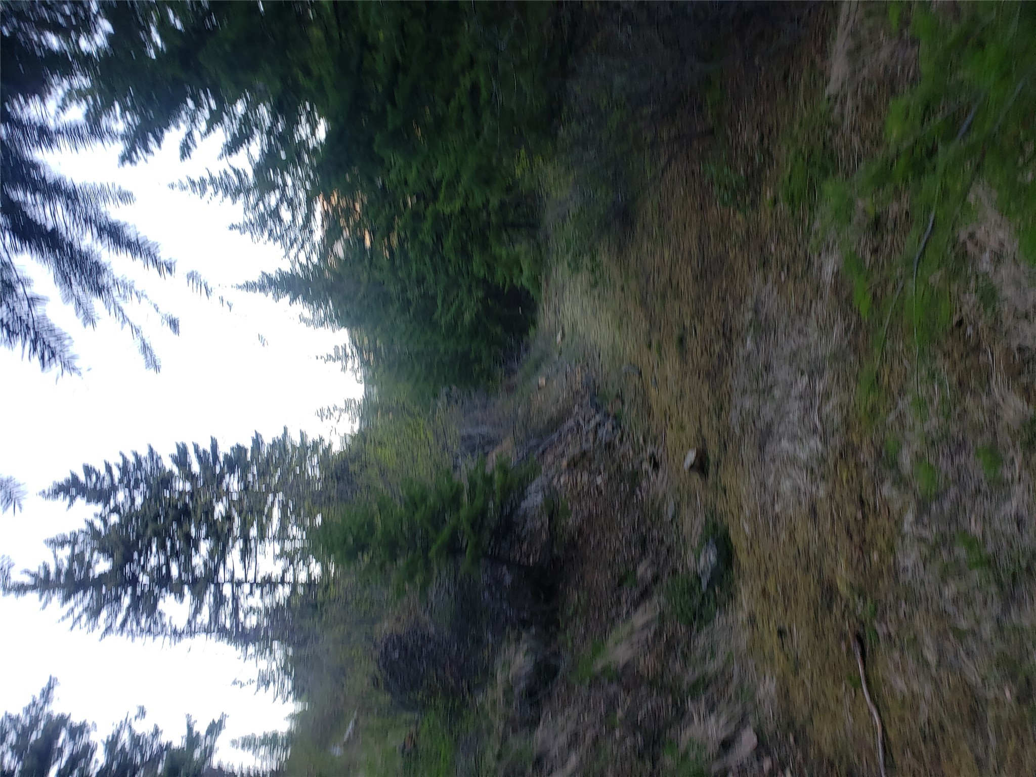 Tract 8 Sheridan Lode Nine Mile Road