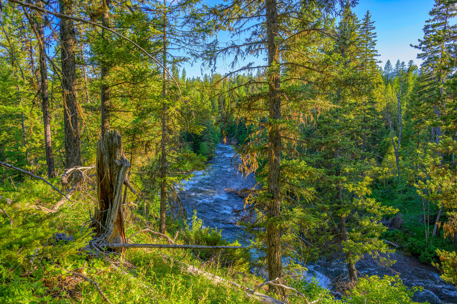 1355 Lindbergh Lake Road