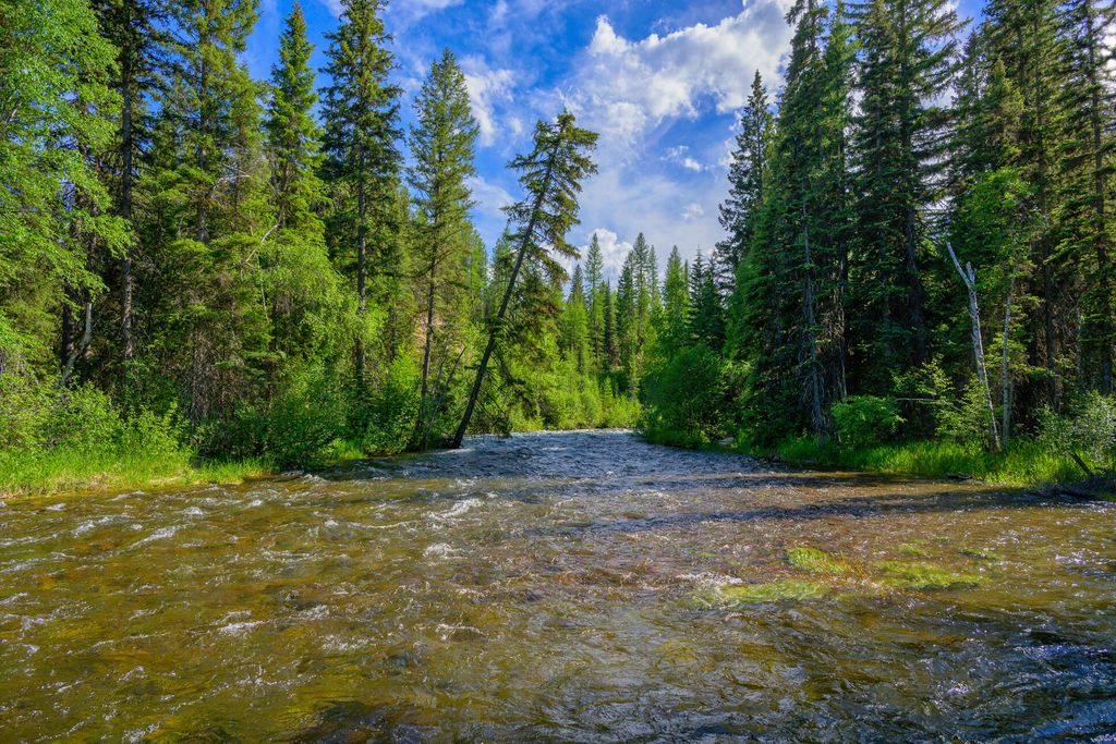 Photo of 1355 Lindbergh Lake Road, Condon, MT 59826 (MLS # 30065779)