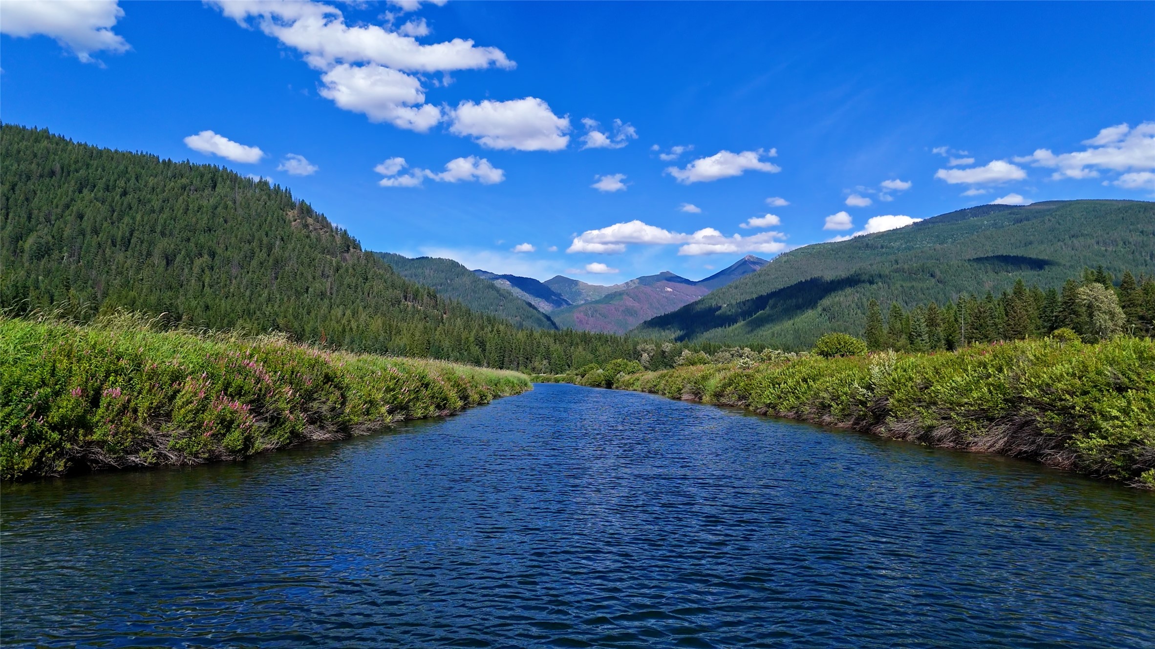 96 E Fork Bull River Road