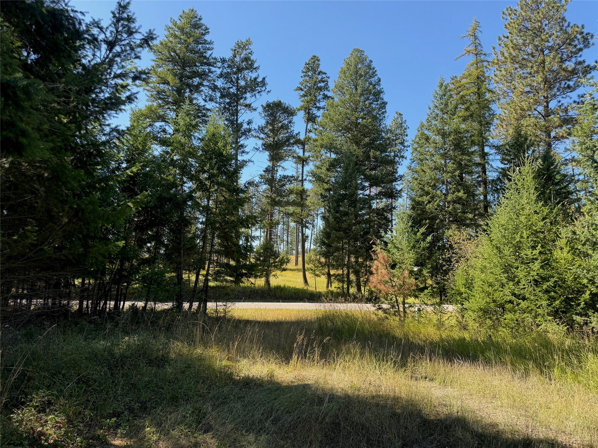 114 Mountain Timbers Drive