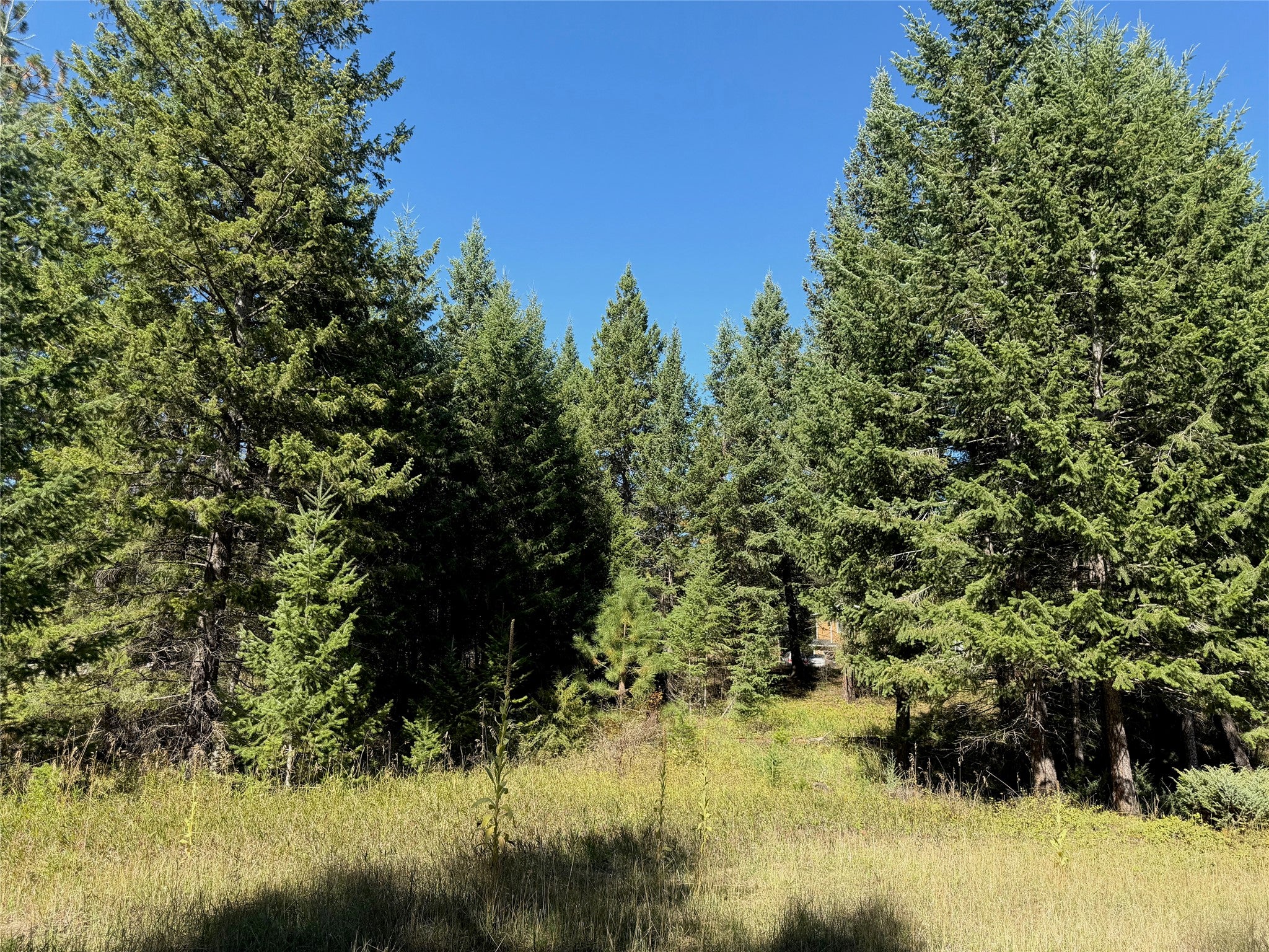 114 Mountain Timbers Drive