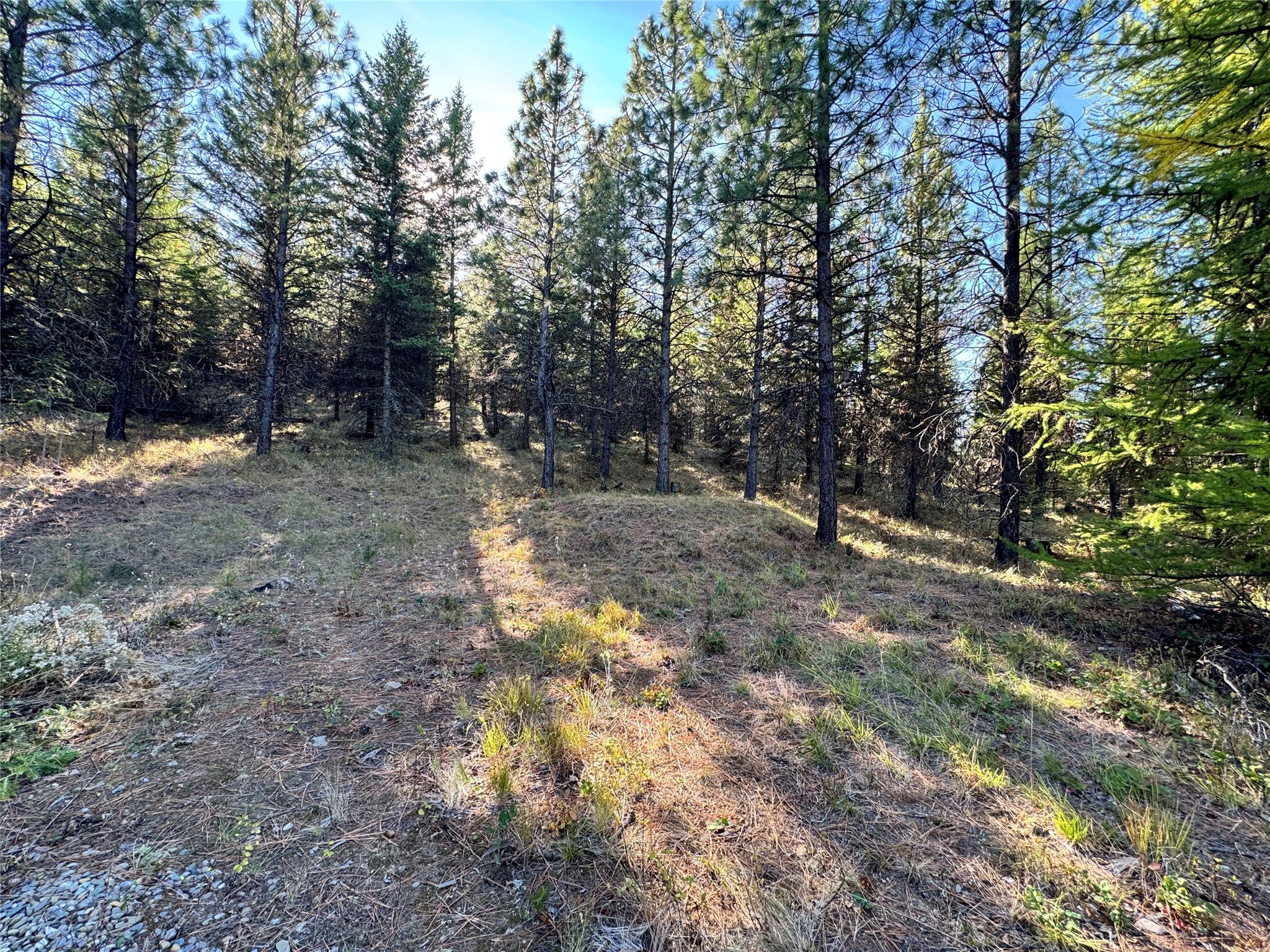 Lot 5 Panoramic View