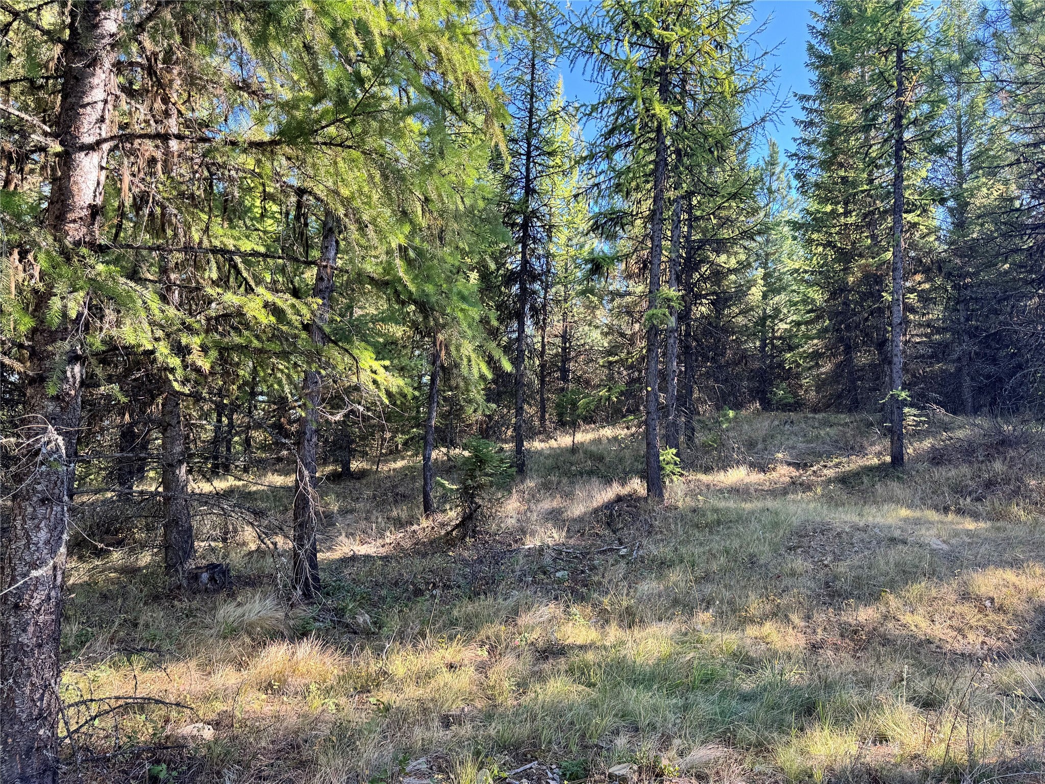 Lot 5 Panoramic View