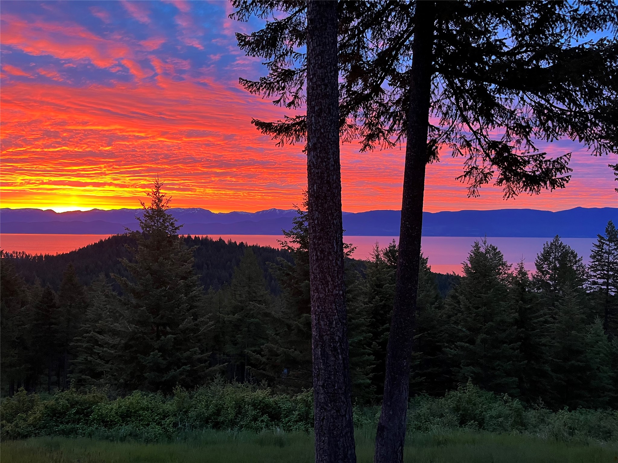 18082 & 18090 Demersville Wagon Road