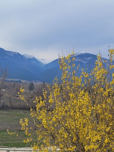 Tiny photo for 4721 Teddy Bear Lane, Stevensville, MT 59870 (MLS # 30070050)
