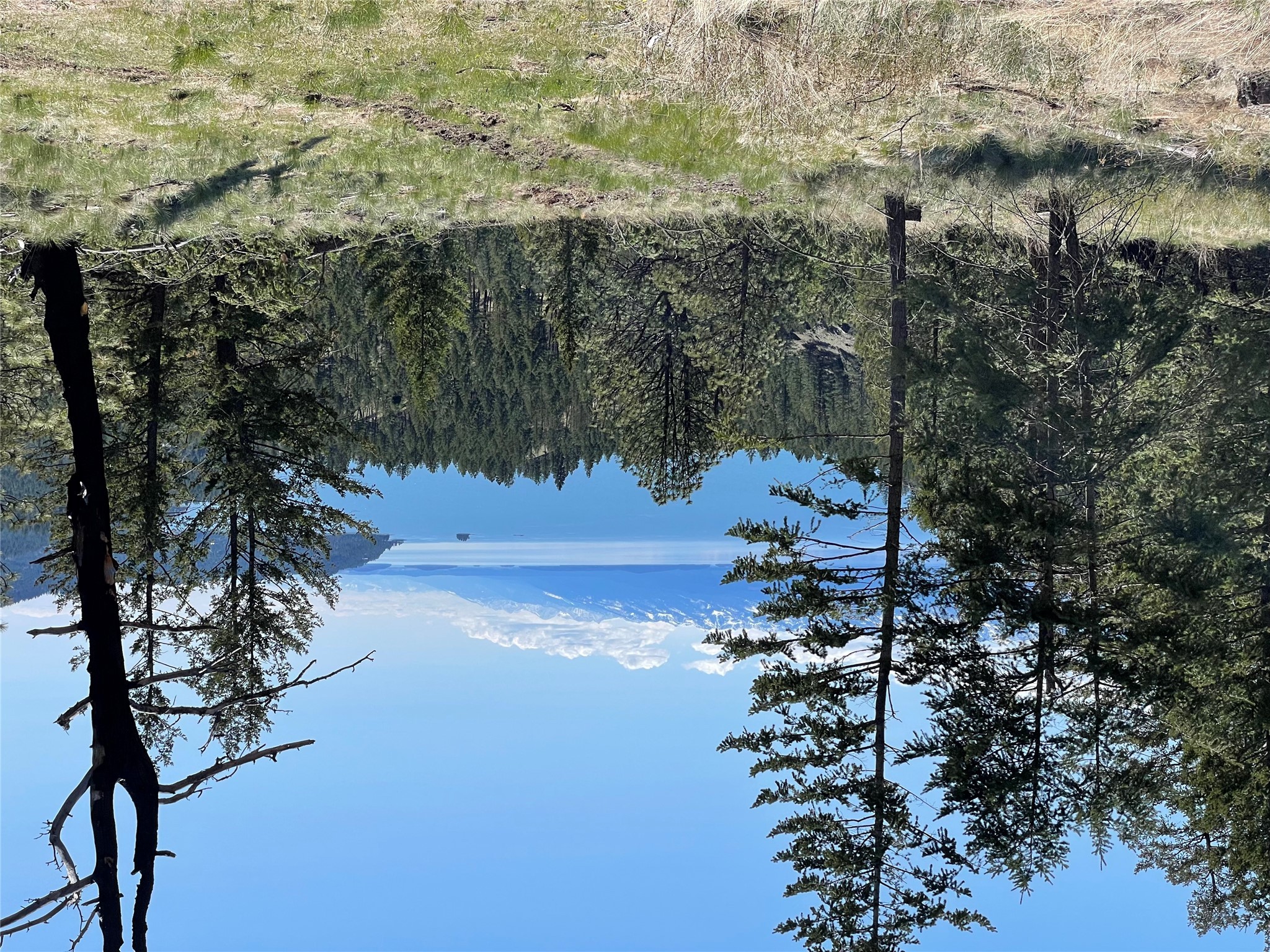 207 Angel Point Preserve