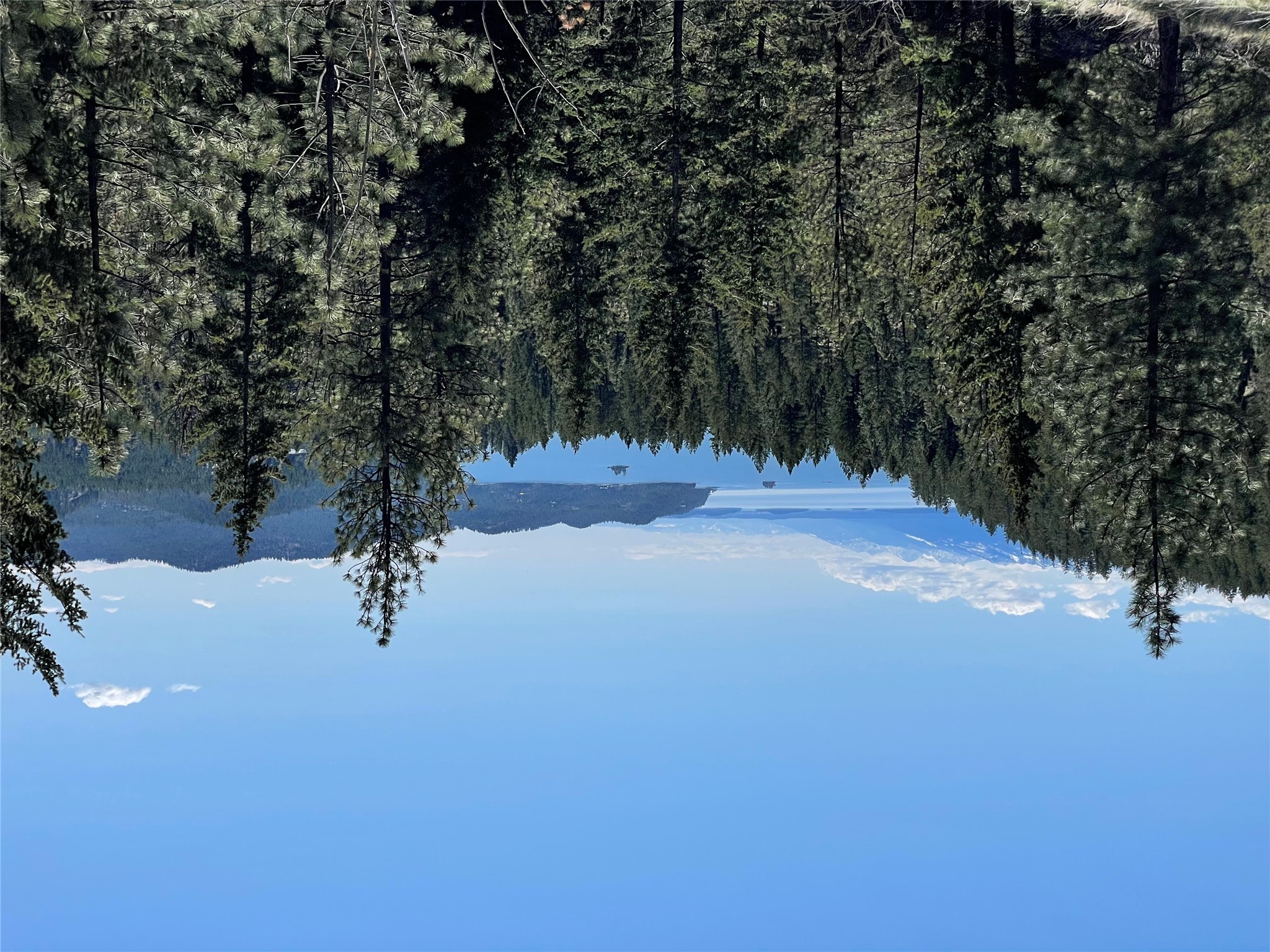 207 Angel Point Preserve