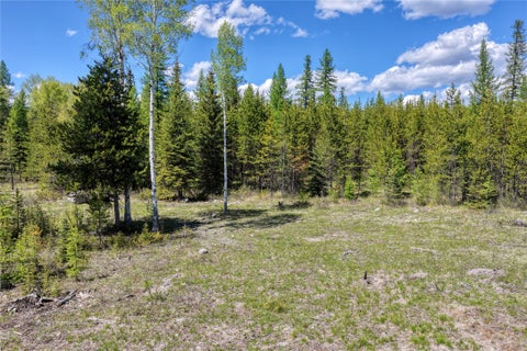 Tiny photo for 577 Evers Creek Connection Road, Whitefish, MT 59937 (MLS # 30070708)