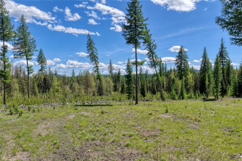Tiny photo for 577 Evers Creek Connection Road, Whitefish, MT 59937 (MLS # 30070708)