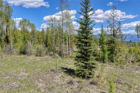 Tiny photo for 577 Evers Creek Connection Road, Whitefish, MT 59937 (MLS # 30070708)