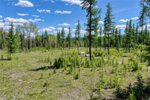 Tiny photo for 577 Evers Creek Connection Road, Whitefish, MT 59937 (MLS # 30070708)