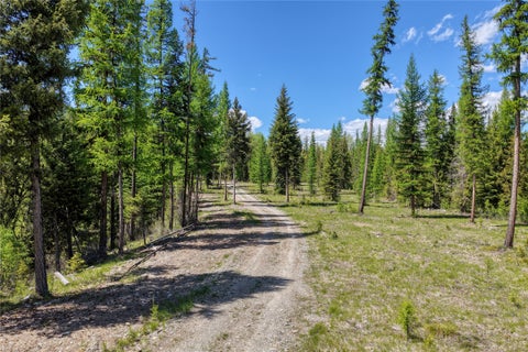 Tiny photo for 577 Evers Creek Connection Road, Whitefish, MT 59937 (MLS # 30070708)