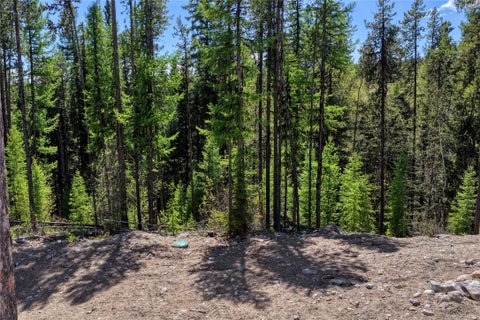 Tiny photo for 577 Evers Creek Connection Road, Whitefish, MT 59937 (MLS # 30070708)