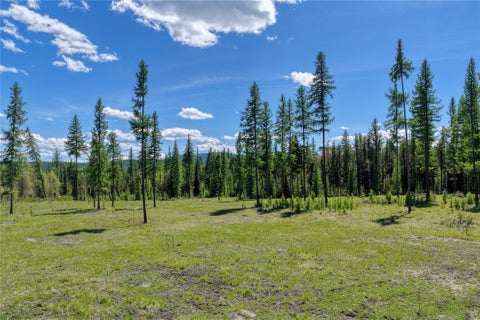 Tiny photo for 577 Evers Creek Connection Road, Whitefish, MT 59937 (MLS # 30070708)