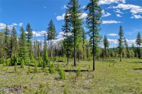 Tiny photo for 577 Evers Creek Connection Road, Whitefish, MT 59937 (MLS # 30070708)