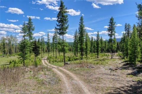 Tiny photo for 577 Evers Creek Connection Road, Whitefish, MT 59937 (MLS # 30070708)