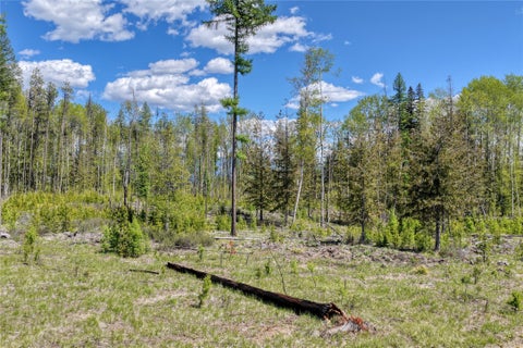 Tiny photo for 577 Evers Creek Connection Road, Whitefish, MT 59937 (MLS # 30070708)