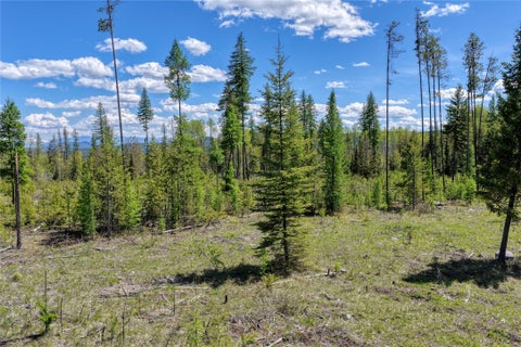 Tiny photo for 577 Evers Creek Connection Road, Whitefish, MT 59937 (MLS # 30070708)