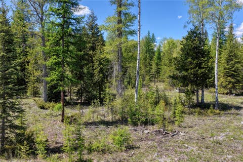 Tiny photo for 577 Evers Creek Connection Road, Whitefish, MT 59937 (MLS # 30070708)