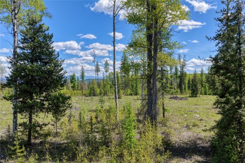 Tiny photo for 577 Evers Creek Connection Road, Whitefish, MT 59937 (MLS # 30070708)